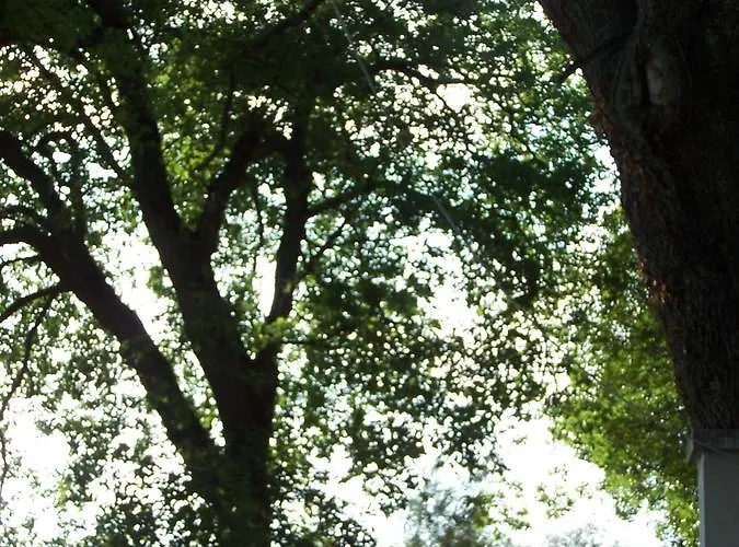 Bella Vista アパート